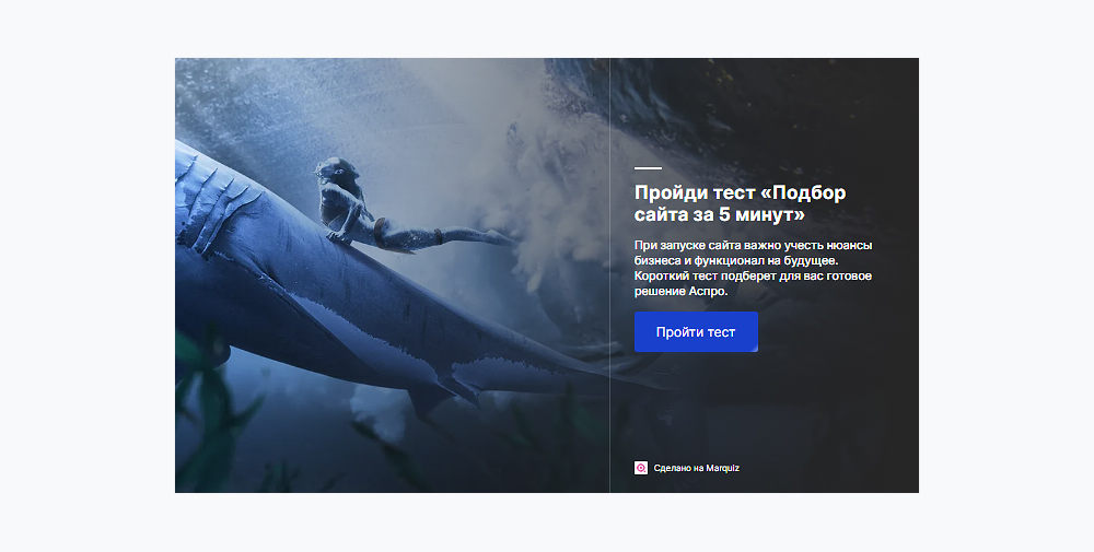 Пример квиза на акционной посадке Аспро Пример квиза на акционной посадке Аспро
