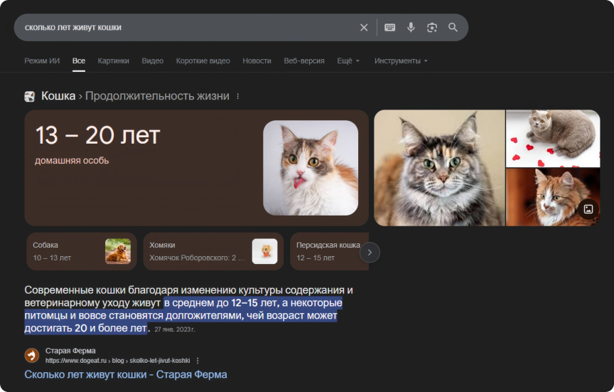 Нулевой сниппет, в котором есть краткая информация с одного сайта