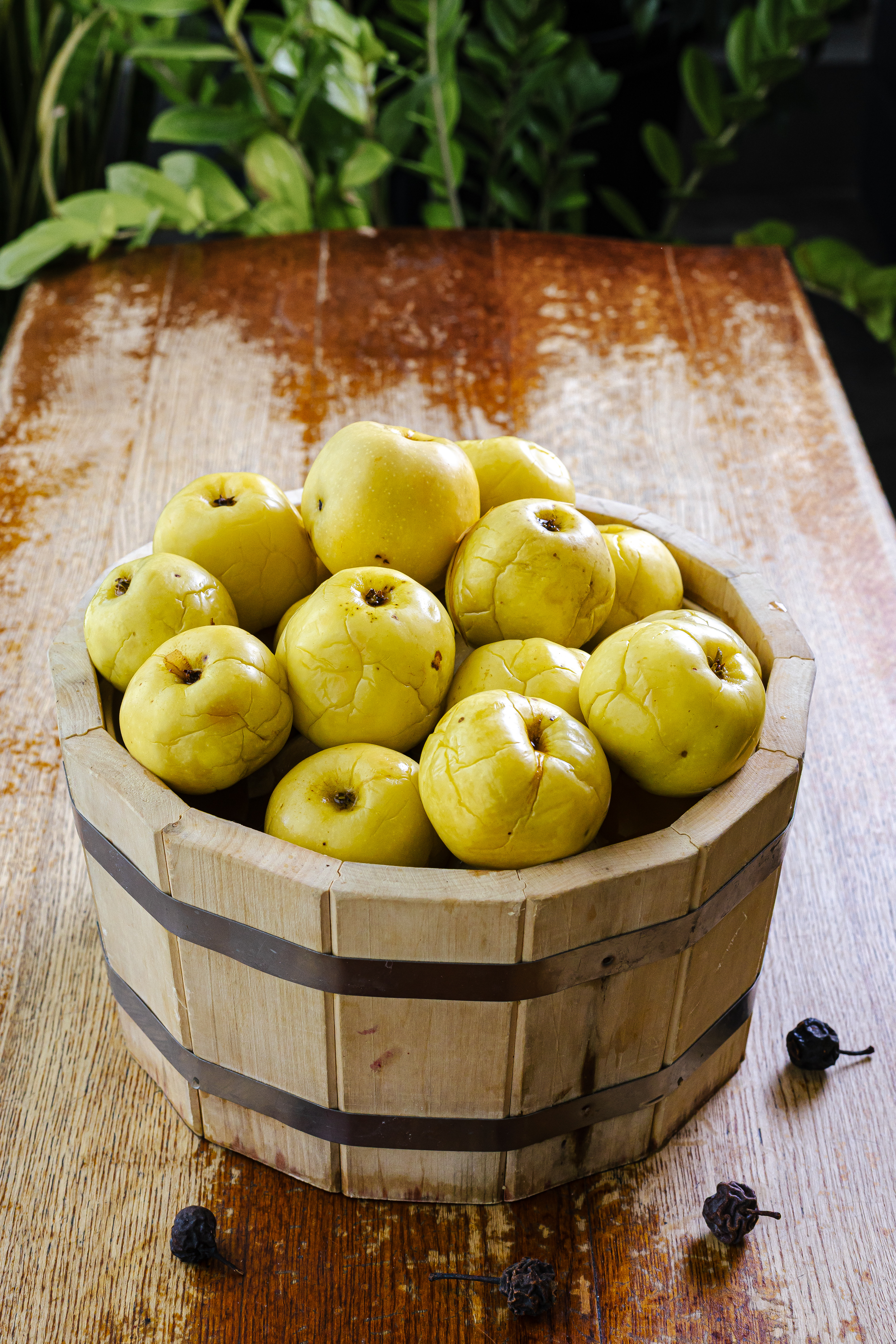 Яблоки моченые