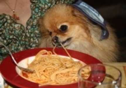 Кулинарный экстрим по-итальянски