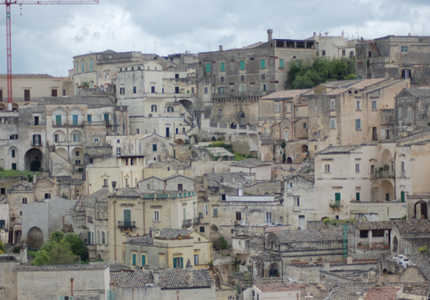 Базиликата: Пинии в горах