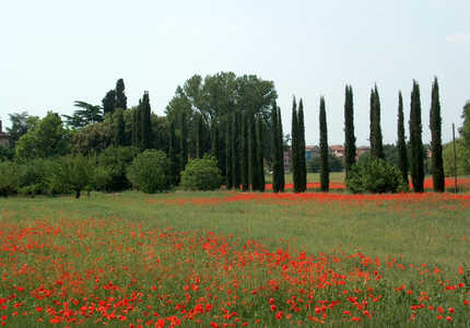 Лацио: в тени столицы