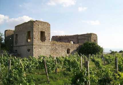 Малиновый покойник