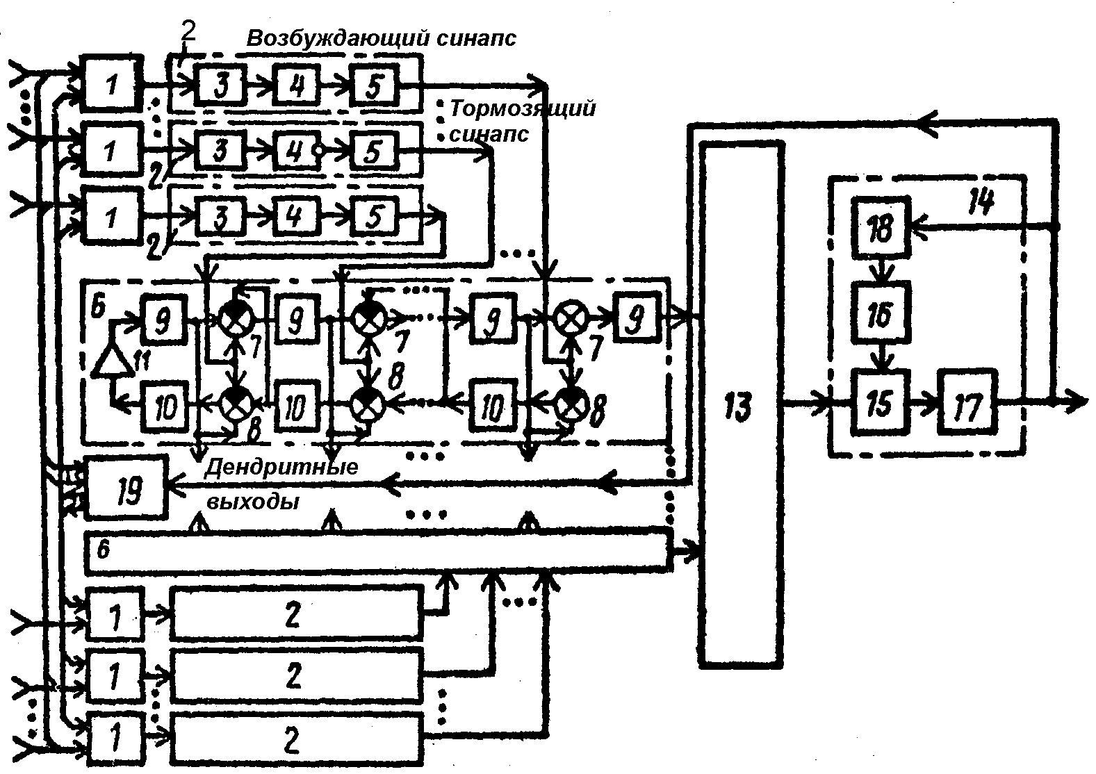  Рис. 5. Волновой нейропроцессор с локальными дендритными биопроцессорами по а. с. 1501101 [36].