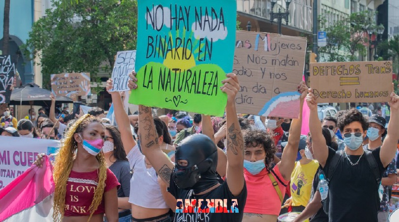 Первый национальный марш транс-сообщества Эквадора. 20 ноября 2020 г. Надпись на плакате: «В природе нет бинарности».