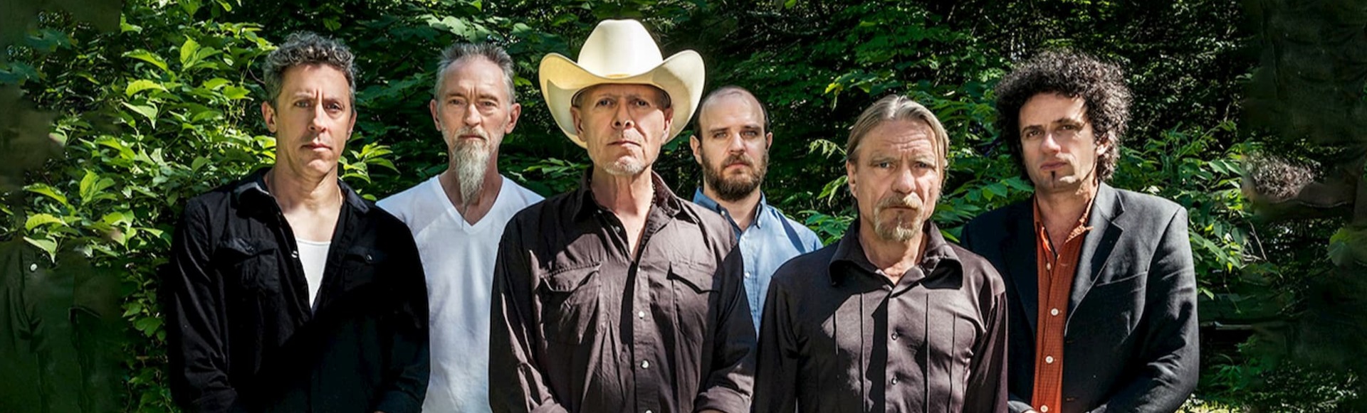 Swans